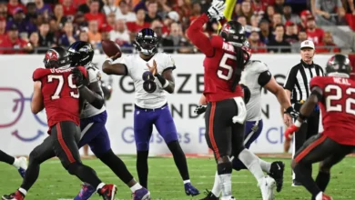 tampa bay buccaneers vs baltimore ravens match player stats