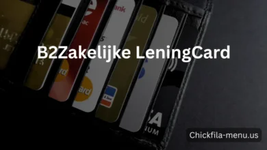 b2zakelijke leningcard